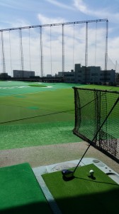 へナで髪を紫外線から守る｜｜亀有の美容室プライドライズ