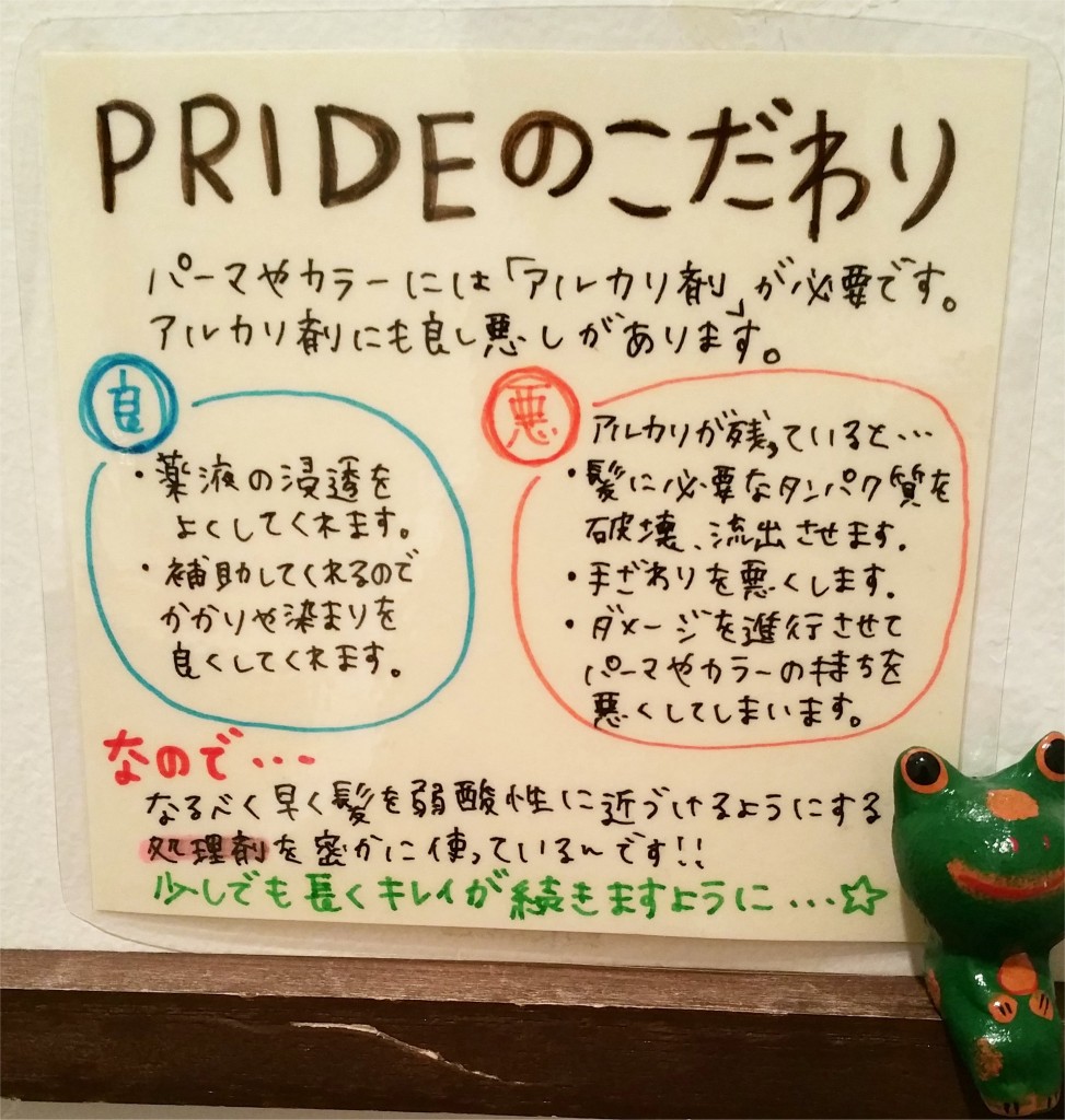 太陽と大地のヘナ｜｜亀有の美容室PRIDE.RISE