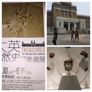 大英自然史博物館展/亀有の美容室PRIDE.RISE