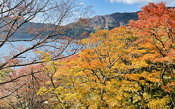 旅行/亀有PRIDE.RISE