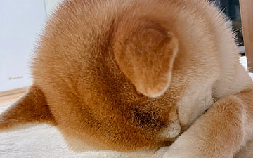 梅雨入り/亀有美容室PRIDE.RISE