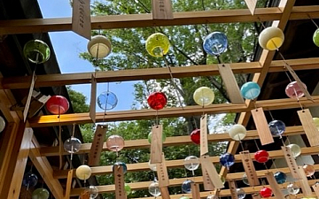 夏を感じに…/亀有美容室PRIDE.RISE