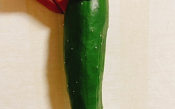 きゅうり/亀有美容室PRIDE.RISE