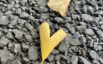 ハート/亀有美容室PRIDE.RISE