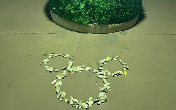 夢の国/亀有美容室PRIDE.RISE