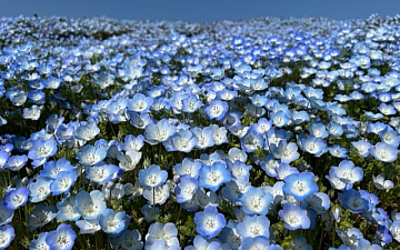 快晴/亀有美容室PRIDE,RISE