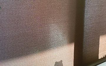 影絵/亀有の美容室PRIDE.RISE