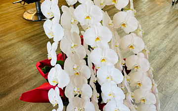 20周年/亀有の美容室PRIDE.RISE