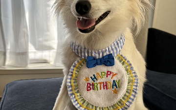 お誕生日!/亀有の美容室PRIDE.RISE