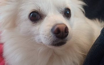 ネタ切れなんで、、、/亀有の美容室PRIDE.RISE