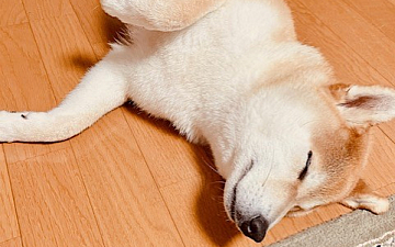 ジメジメしますね/亀有美容室PRIDE.RISE