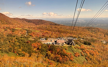 行ってきました/亀有美容室PRIDE.RISE