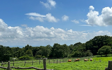 お知らせ/亀有美容室PRIDE.RISE