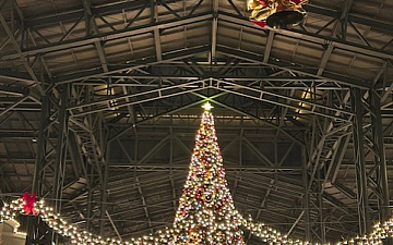 今日は・・・/亀有美容室PRIDE.RISE