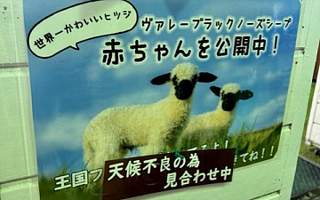 那須どうぶつ王国/亀有の美容室PRIDE.RISE