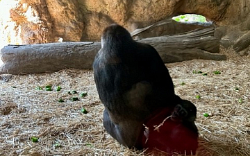 動物園/亀有美容室PRIDE.RISE