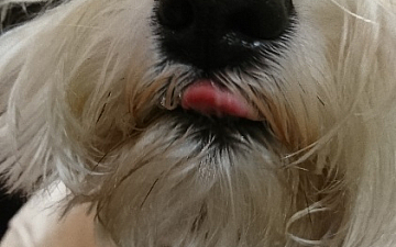 2018おなはちゃん激写!!