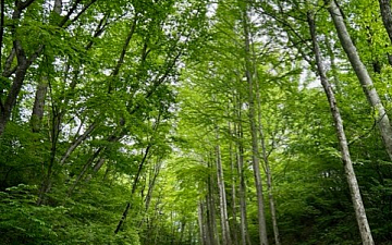 日帰りで…/亀有美容室PRIDE.RISE