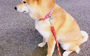 今日は…/髪質改善 PRIDE亀有