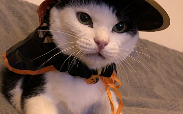 ハッピーハロウィン!!亀有の美容室PRIDERISE