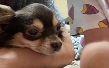 なかなか馴れない/亀有の美容室PRIDE.RISE