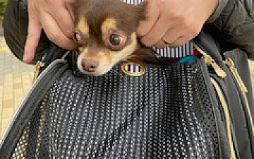 長野へ☆/亀有の美容室PRIDE.RISE