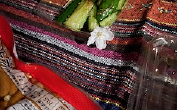 お花見☆/PRIDE.RISE