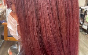 カラー/PRIDE.RISE