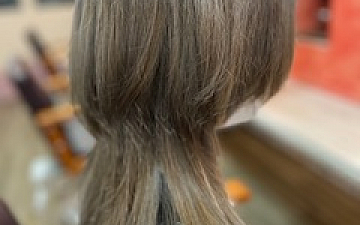 マッシュウルフ&カラー