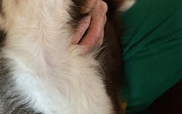 毎朝ジャズが/PRIDE.RISE