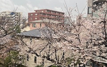 桜サク/PRIDE.RISE