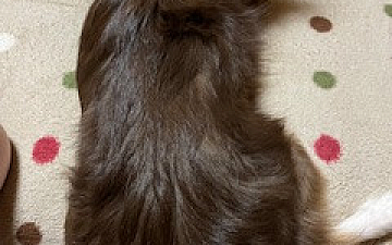 きょうのジャズ/PRIDE.RISE