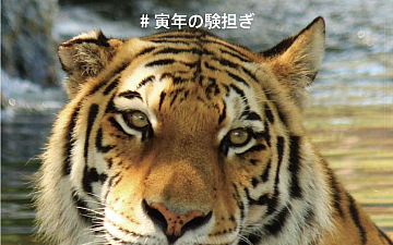 仕事始め/亀有の美容室PRIDE.RISE