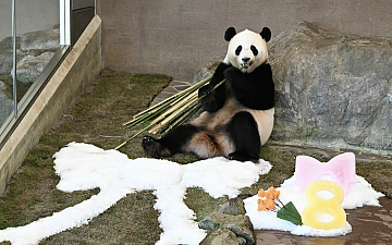 推しパン/亀有の美容室PRIDE.RISE