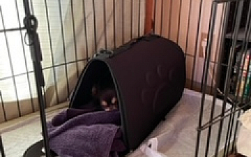 100%ヘナの店/亀有の美容室PRIDE.RISE