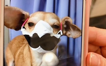 100%ヘナの店/PRIDE.RISE